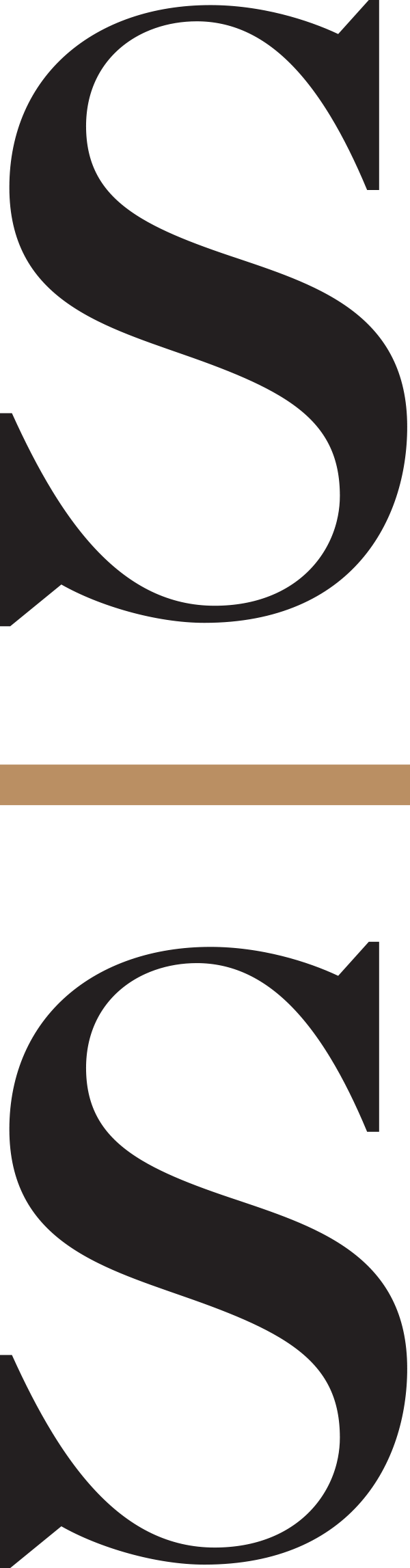 Saturday Studio logo
