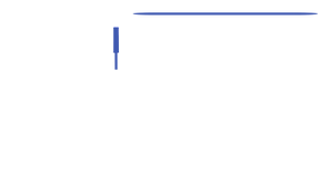 Complete Precision Surveys logo